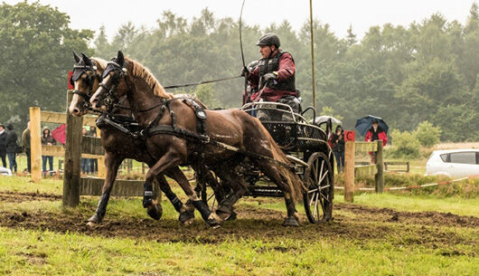 Deutscher Vizemeister beim Fahrfest des Nordens