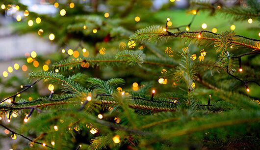 Lebendiger Adventskalender in Henstedt-Ulzburg