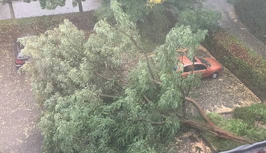 Gewitter und Sturm forderten Dauereinsätze (Fotogalerie)