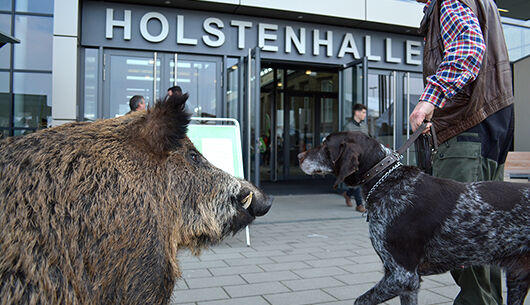 Die „OUTDOOR 2019 jagd & natur“ startet heute!