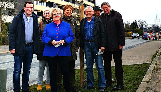 Baumpflanzungen im Parkstreifen der Gadelander Straße