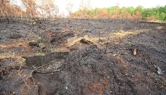 Sorge vor Brand im Himmelmoor