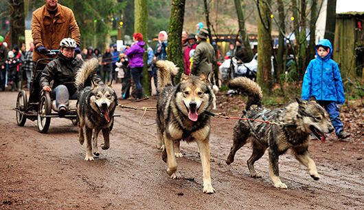 23. Eekholter Wolfsnächte ab dem 23. Februar