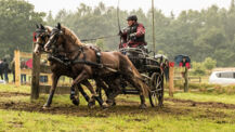 Deutscher Vizemeister beim Fahrfest des Nordens