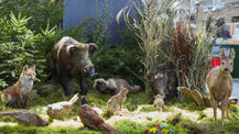 Jagd und Natur in den Holstenhallen