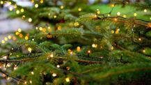 Lebendiger Adventskalender in Henstedt-Ulzburg