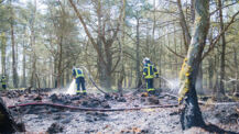 Flächenbrand in der Barker Heide 