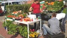 Grünes Marktfest in Alveslohe