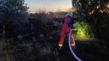 Größerer Busch-und Flächenbrand im Freizeitpark Kaltenkirchen fordert Einsatzkräfte