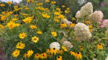 Umgestaltung des Vorgartens zum pflegeleichten, grünen Garten im Herbst