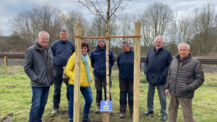 Lions Club Henstedt-Ulzburg setzt ein „Baum“ zeichen