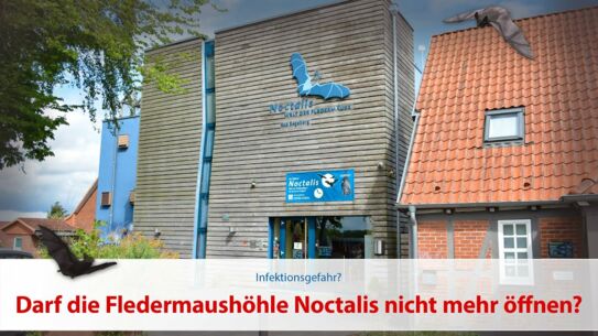 Darf die Fledermaushöhle Noctalis nicht mehr öffnen?